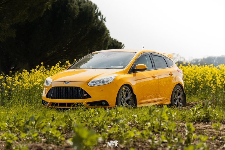 Ford Focus ST champ colza